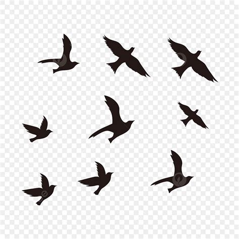 silhouette of a bird flying|bird silhouette transparent background.